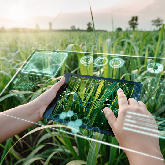 Agriculture