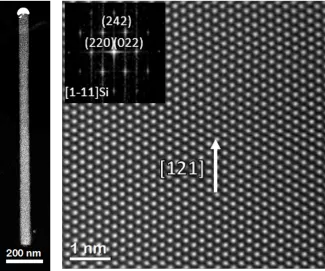 Semiconductor nanowires and quantum dots - From synthesis to applications 