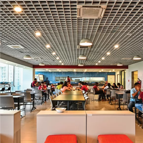 Food & Dining
