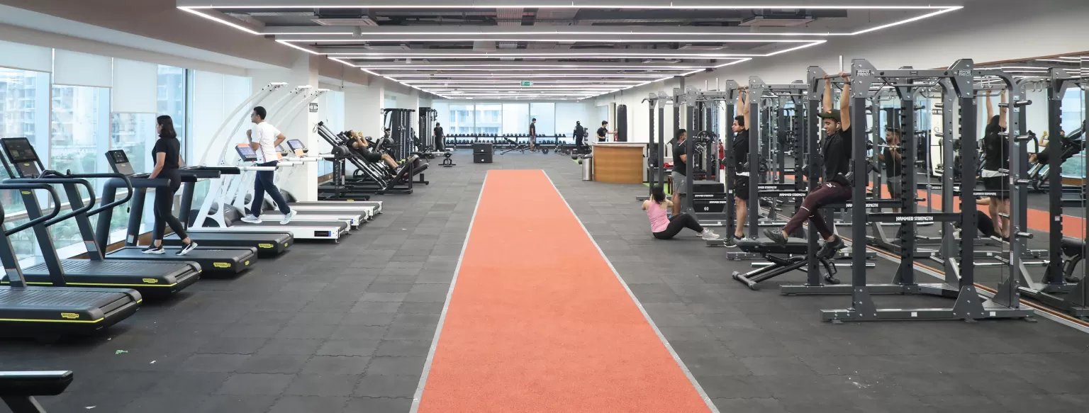 High-performance Gymnasium